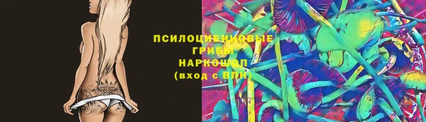 гашик Богородск