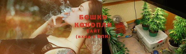 гашик Богородск