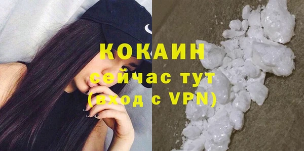 гашик Богородск